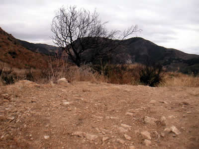 Image Number Five