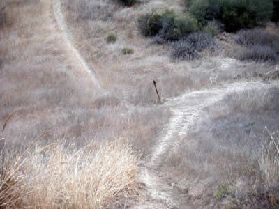 Image Number Nine
