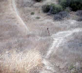 ALI009 Aliso Canyon Junction