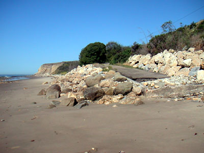 Image Number Five