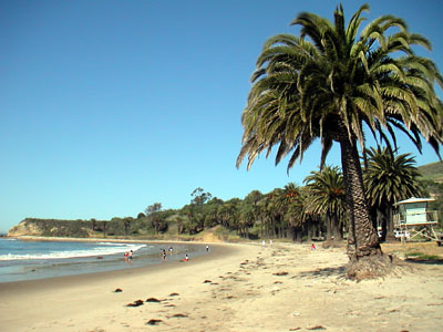 Image Number Nine