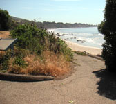 ANI011 Top of stair trail