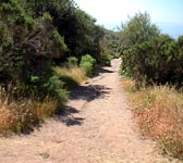 ANI013 Top of stair trail