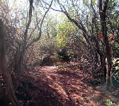 ABS012 Lookout point
