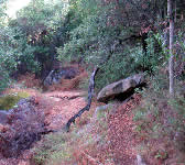 ABS014 Dirt road