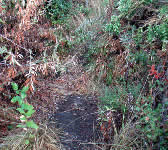 ABS020 Creek crossing