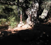 SY006 Large rock cliff on left