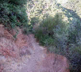 ABN004 Switchbacks