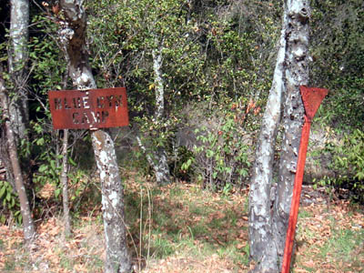 Image Number Ten