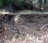 BCT003 Upper Blue Canyon Camp