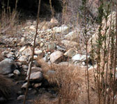 BCT009 Creek Crossing