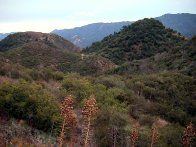 Image Number Ten