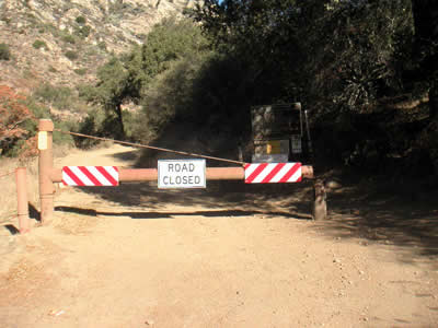 Image Number Sixteen