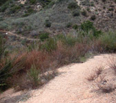 CAM004 Ravine