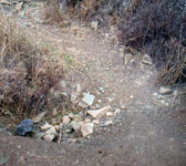 CAM009 Dry stream crossing