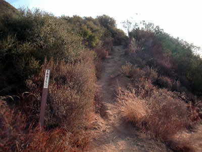 Image Number Ten