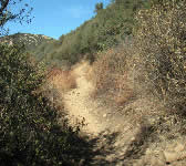 CSE012 Switchbacks with coastal views