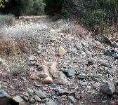 BCT013 Stream crossing