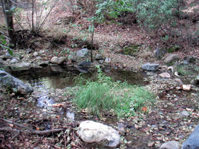 Image Number Two