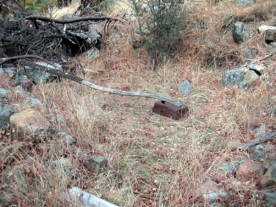 Image Number Six