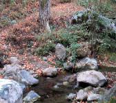 DBT005 Creek Crossing
