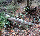 DBT009 Creek Crossing