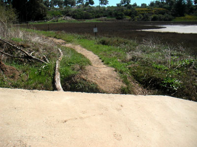 Image Number Fourteen