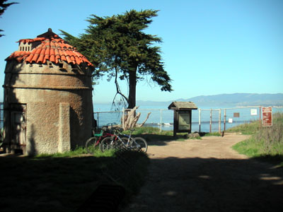 Image Number Four