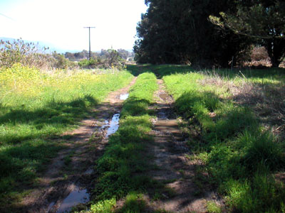 Image Number Nine