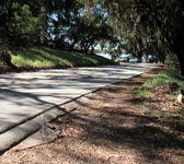 DEV016 Road