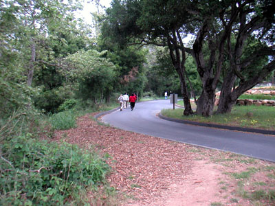 Image Number Three