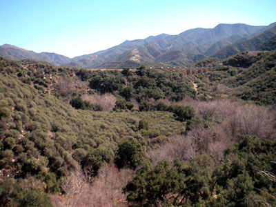 Image Number Four