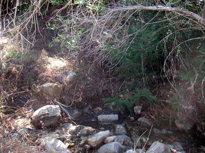 Image Number Nine
