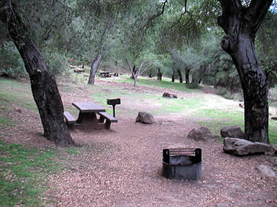 Image Number Thirteen