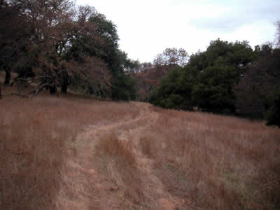 Image Number Six