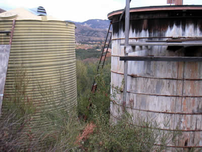 Image Number Nine