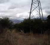 FRE003 Edison Towers