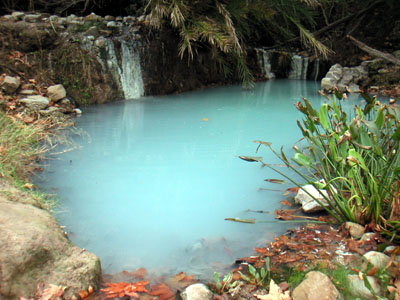 Image Number Four