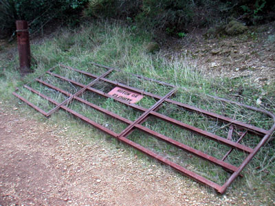 Image Number Eight