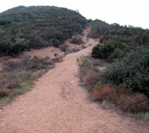 GAV009 Top of ridge