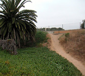 GBO010 Bridge crossing