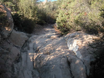 Image Number Seven