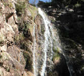 San Ysidro Trail