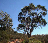 Cold Spring East