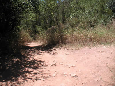 Image Number Six