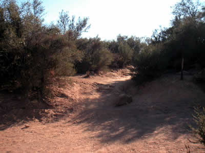 Image Number Nine