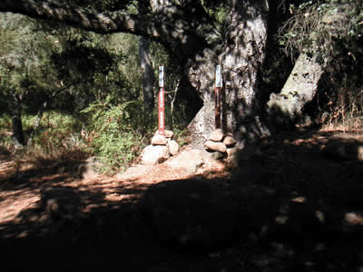 Image Number Six