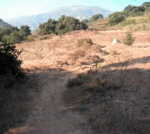 JES007 Meadow