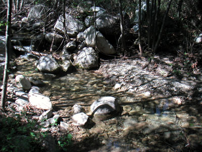 Image Number Ten