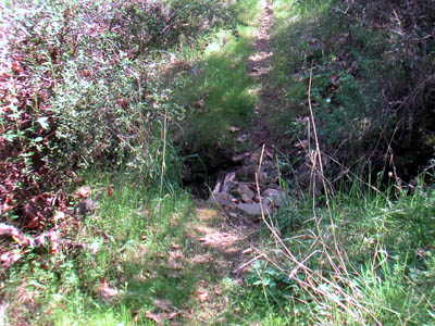 Image Number Five